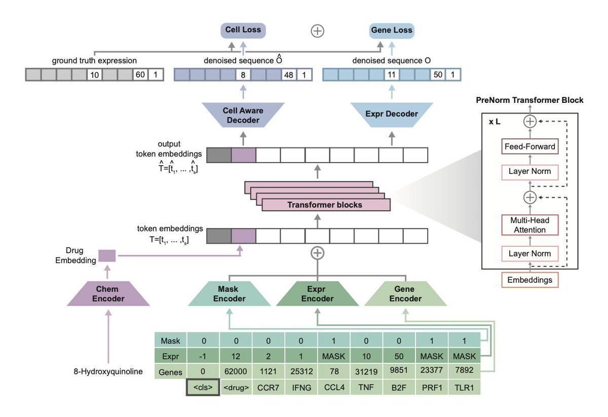Tahoe-x1 Architecture Diagram